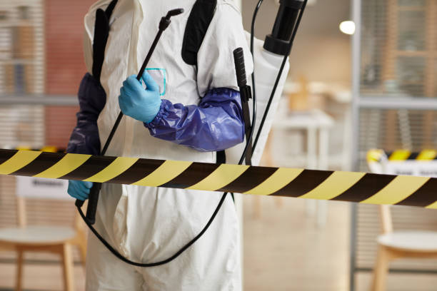 Professional Sewage Cleanup technician working in Quincy, IL
