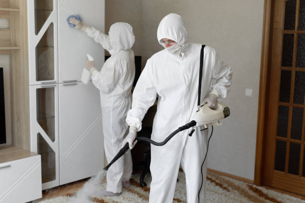 24/7 Emergency Sewage Cleanup experts in Quincy, IL