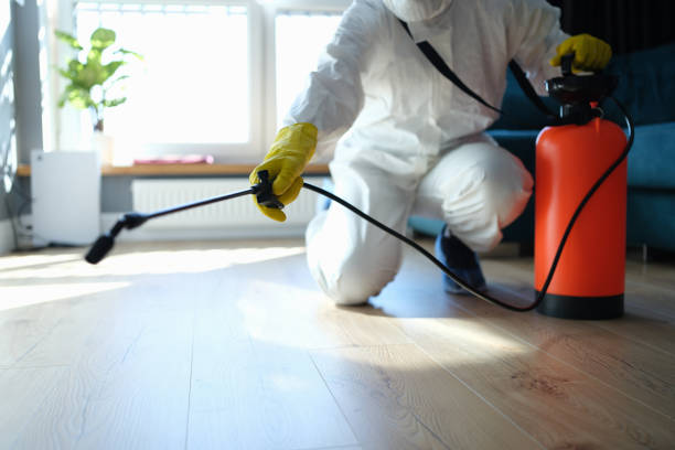 Reliable Sewage Cleanup contractor in Quincy, IL by Trauma Clean Pros